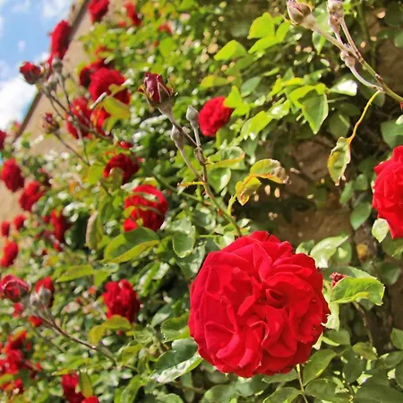 아파트 Im Rinnetal *