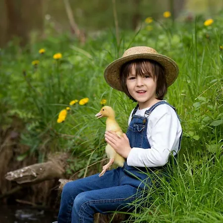 아파트 Im Rinnetal