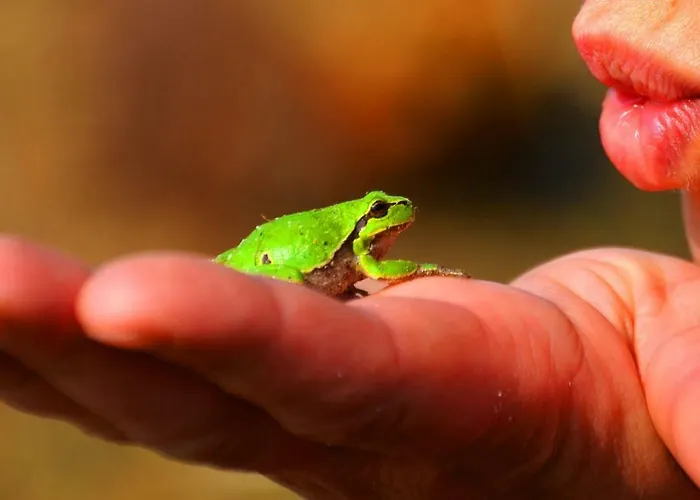 Im Rinnetal Apartmán Homberg (Schwalm-Eder)