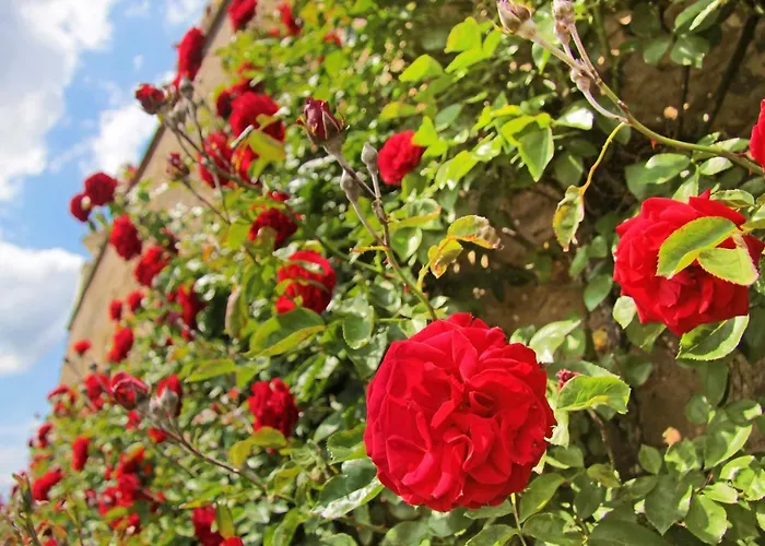 Apartment Im Rinnetal *