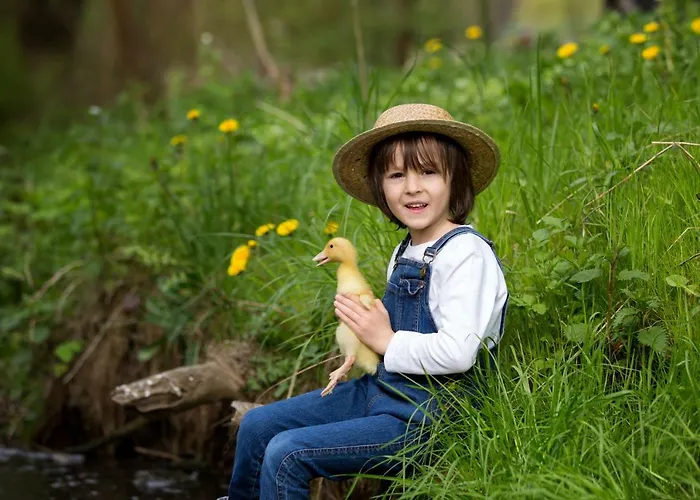 Apartment Im Rinnetal